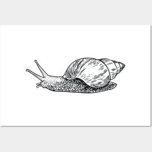 Snail farming Posters and Art